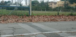 Fogliame e ghiaino sulle strade, Cacciatore (Lega): “Situazione pericolosa, il Comune intervenga”