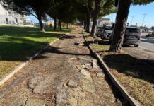 Grandi (FDI): Pista ciclabile dissestata in via Antica Milizia, scatta l’allarme sicurezza