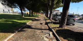 Grandi (FDI): Pista ciclabile dissestata in via Antica Milizia, scatta l’allarme sicurezza