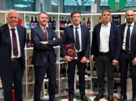 CAVIRO chiude il bilancio 2024-2025. Difesa della marginalità del settore vino e riequilibrio gestionale del gruppo
