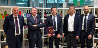 CAVIRO chiude il bilancio 2024-2025. Difesa della marginalità del settore vino e riequilibrio gestionale del gruppo