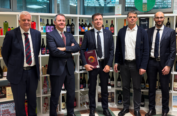 CAVIRO chiude il bilancio 2024-2025. Difesa della marginalità del settore vino e riequilibrio gestionale del gruppo