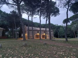 Turismo e natura: approvati progetti esecutivi per rendere più fruibili Punte Alberete, Cà Aie e Museo NatuRa