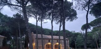 Turismo e natura: approvati progetti esecutivi per rendere più fruibili Punte Alberete, Cà Aie e Museo NatuRa