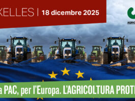 Anche una delegazione di Cia Romagna alla marcia di Bruxelles – Pac inaccettabile, l’Europa ascolti gli agricoltori