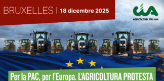 Anche una delegazione di Cia Romagna alla marcia di Bruxelles – Pac inaccettabile, l’Europa ascolti gli agricoltori