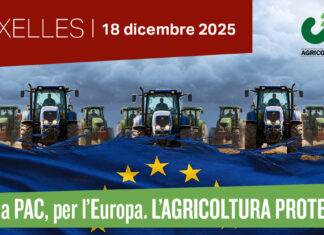 Anche una delegazione di Cia Romagna alla marcia di Bruxelles – Pac inaccettabile, l’Europa ascolti gli agricoltori