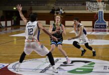 Basket: Una grande Tema Sinergie sbanca Jesi