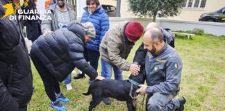 Una mattinata speciale con le unità cinofile della Guardia di Finanza