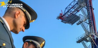 Pellet venduto come “abete” ma era pino: società denunciata per frode in commercio