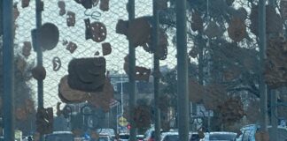 Passaggi a livello spesso chiusi, Grillini: «Code interminabili in città, il Comune chiarisca»