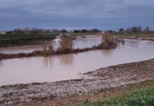 Fiumi in piena, ore critiche nel Ravennate: notte di emergenza, ma nessuna esondazione