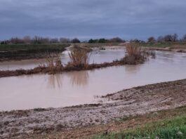 Fiumi in piena, ore critiche nel Ravennate: notte di emergenza, ma nessuna esondazione