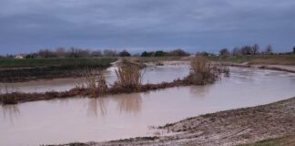 Fiumi in piena, ore critiche nel Ravennate: notte di emergenza, ma nessuna esondazione