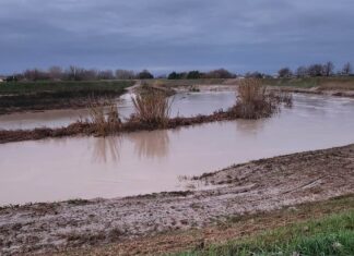 Fiumi in piena, ore critiche nel Ravennate: notte di emergenza, ma nessuna esondazione