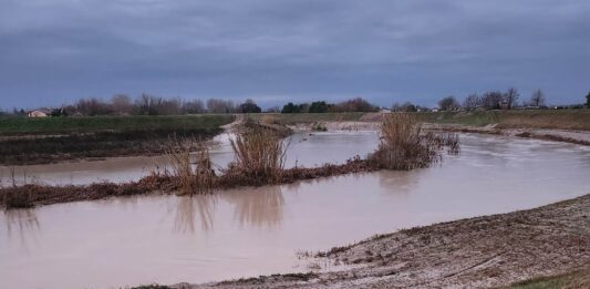 Fiumi in piena, ore critiche nel Ravennate: notte di emergenza, ma nessuna esondazione
