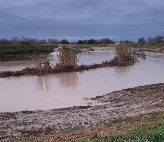 Fiumi in piena, ore critiche nel Ravennate: notte di emergenza, ma nessuna esondazione
