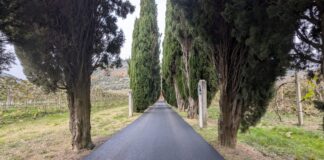 Brisighella: proseguono gli interventi di asfaltatura su diverse strade comunali