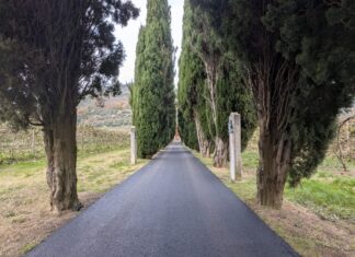 Brisighella: proseguono gli interventi di asfaltatura su diverse strade comunali