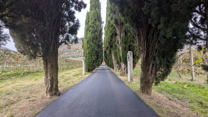 Lavori di asfaltatura BR (4)