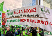 Cia in piazza a Bruxelles. Agricoltura non si svende, con riforma Pac a rischio 270mila aziende
