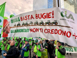 Cia in piazza a Bruxelles. Agricoltura non si svende, con riforma Pac a rischio 270mila aziende