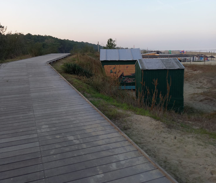 Schermata 2025-12-01 alle 14.34.22