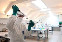 La vita di una comunità dell’Età del Bronzo ricostruita attraverso il DNA