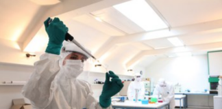 La vita di una comunità dell’Età del Bronzo ricostruita attraverso il DNA