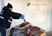 Sequestrati a Ravenna 2.400 chili di vongole non tracciate