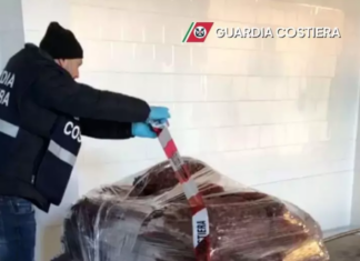 Sequestrati a Ravenna 2.400 chili di vongole non tracciate