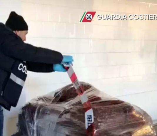 Sequestrati a Ravenna 2.400 chili di vongole non tracciate