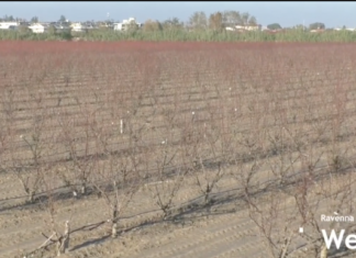 Coldiretti: “Tanti agricoltori hanno ricostruito i rilevati arginali. Ma le norme cambiano in base ai territori”