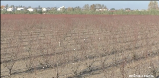 Coldiretti: “Tanti agricoltori hanno ricostruito i rilevati arginali. Ma le norme cambiano in base ai territori”