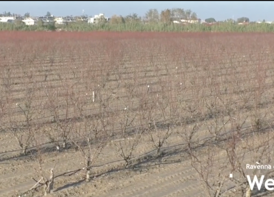 Coldiretti: “Tanti agricoltori hanno ricostruito i rilevati arginali. Ma le norme cambiano in base ai territori”