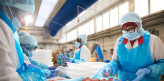 Terremerse sigla un accordo con MA.GE.MA. per il futuro del ramo carni