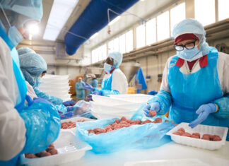 Terremerse sigla un accordo con MA.GE.MA. per il futuro del ramo carni