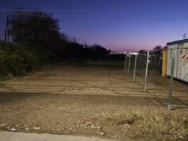 Morgese – Bandini (DC): Gatti e lavori pubblici in via Faentina, chieste misure di tutela.