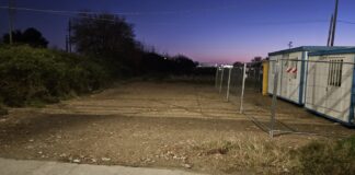 Morgese – Bandini (DC): Gatti e lavori pubblici in via Faentina, chieste misure di tutela.