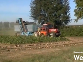 Nuovi bandi per l’agricoltura: 90 milioni dalla Regione