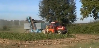 Nuovi bandi per l’agricoltura: 90 milioni dalla Regione