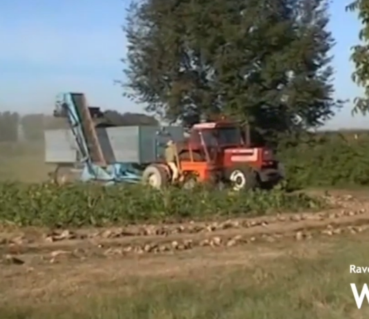 Nuovi bandi per l’agricoltura: 90 milioni dalla Regione