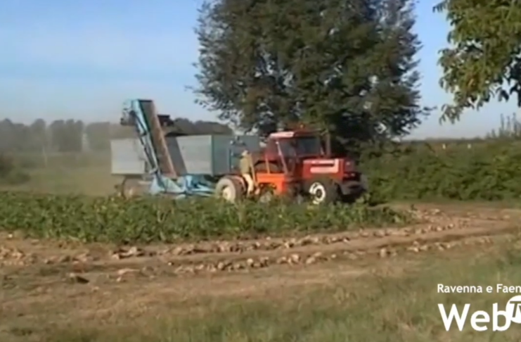 Nuovi bandi per l’agricoltura: 90 milioni dalla Regione