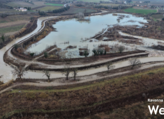 Casse d’espansione di Tebano. Miccoli: “I lavori pensati dalla Regione non porteranno vantaggi”