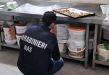 Maxi controlli dei Carabinieri nella zona della stazione e dei Giardini Speyer