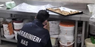 Maxi controlli dei Carabinieri nella zona della stazione e dei Giardini Speyer