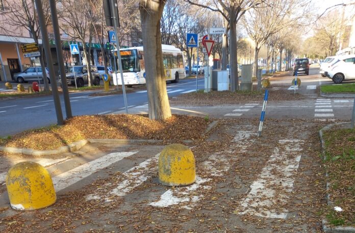 foglie,tappeto a terra