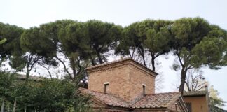 Pini di Galla Placidia, i cittadini chiedono al tavolo tecnico il coinvolgimento di esperti internazionali