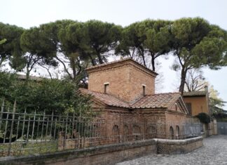 Pini di Galla Placidia, i cittadini chiedono al tavolo tecnico il coinvolgimento di esperti internazionali