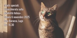 Lugo: «Dona… la magia degli animali», un fine settimana dedicato agli amici a quattro zampe
